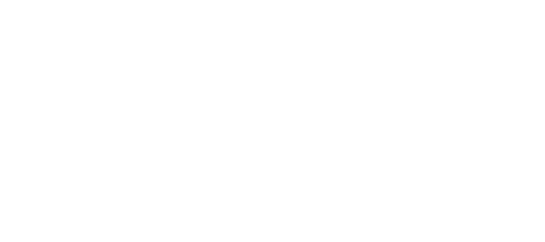 Logo do Sistema I.V.O.